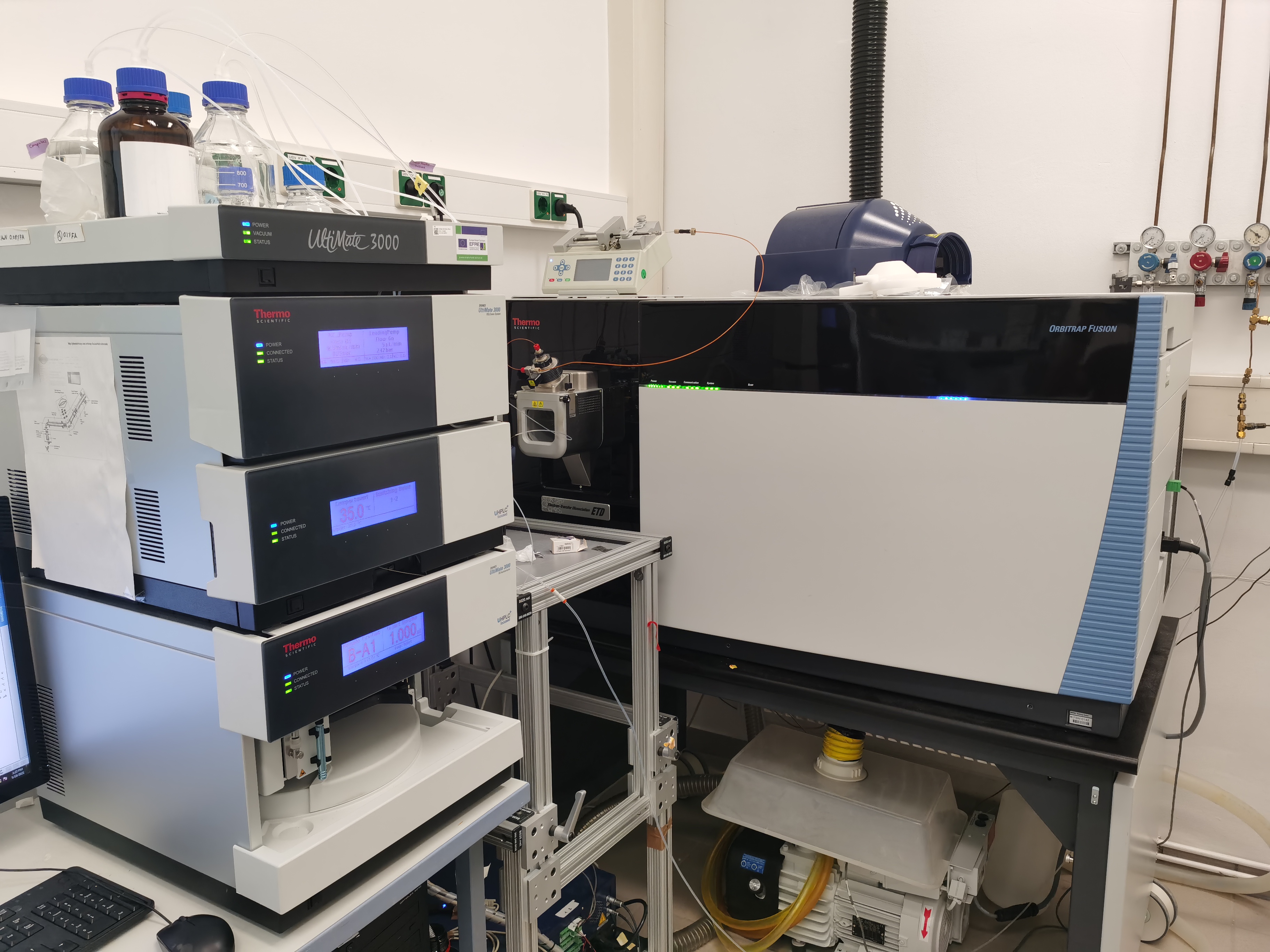 nLC-MS/MS (mass spectrometer, Thermo Orbitrap Fusion) for protein mass spectrometry